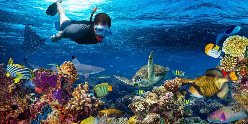 Bali Snorkeling Tour Package