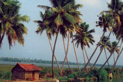 Kerala Holiday Package from Delhi Pune Mumbai India - Kerala Tour Operator near me