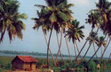 Kerala Holiday Package from Delhi Pune Mumbai India - Kerala Tour Operator near me