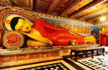 Srilankan Beauty in Sri Lanka Tour Package from Delhi Pune Mumbai India