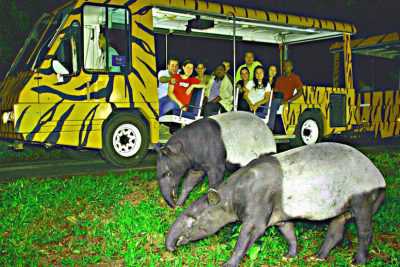 Singapore Nights Safari Tour Package from Delhi Pune Mumbai India