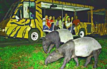 Singapore Nights Safari Tour Package from Delhi Pune Mumbai India