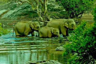 Maldives & Sri Lanka Tour Package from Delhi Pune Mumbai India