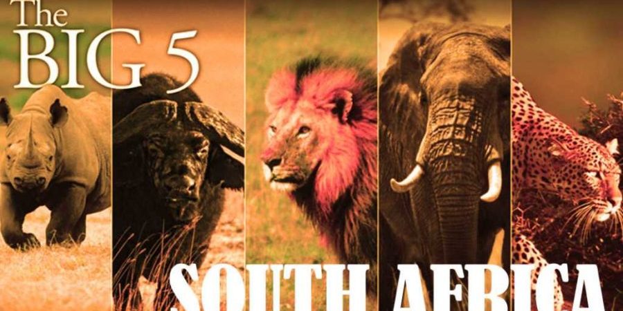South Africa Tour Package from Delhi Pune Mumbai India