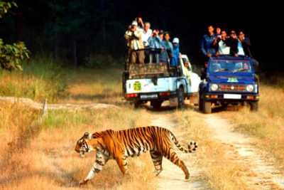 Corbett Uttrakhand Tour Package from Delhi Pune Mumbai India