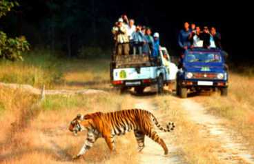 Corbett Uttrakhand Tour Package from Delhi Pune Mumbai India