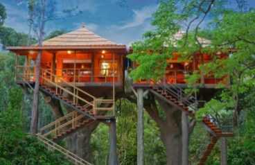 Tree House Tour Package in Munnar from Delhi Pune Mumbai India