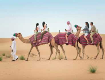 The Best Of Dubai Tour Package with Desert Safari