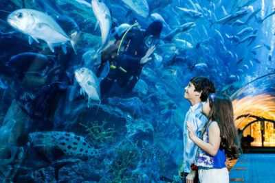 Dubai Underwater Zoo Tour Package from Delhi Pune Mumbai India